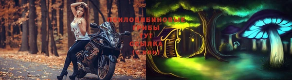сатива Сатка