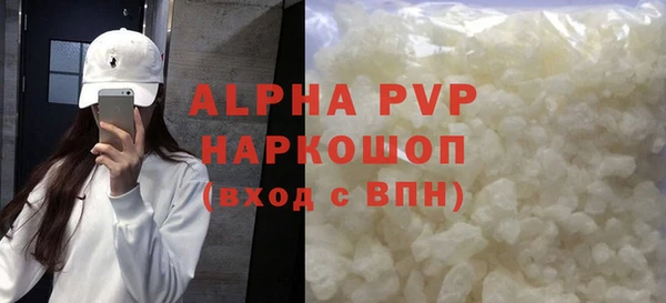 сатива Сатка