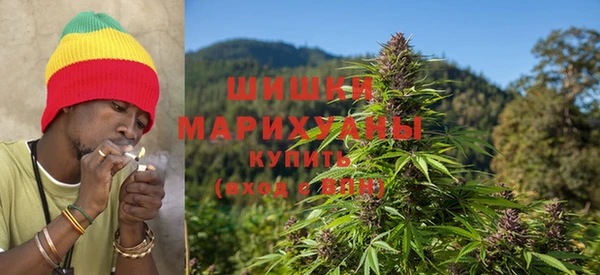 сатива Сатка
