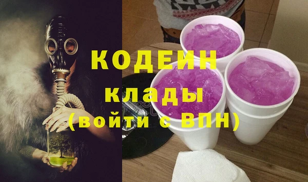 сатива Сатка
