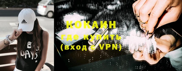 сатива Сатка