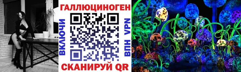 Псилоцибиновые грибы Psilocybine cubensis  Советский 