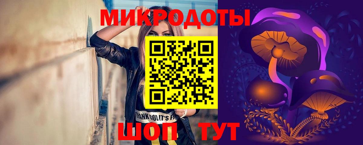 Галлюциногенные грибы Psilocybine cubensis Советский
